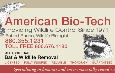 Robert Boone, Wildlife Biologist, Bat and Wildlife Removal