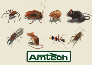 Amtech Personalized Pest Management